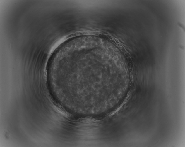 X0000091460246200709131739