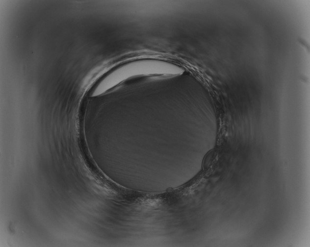 X0000091460247200709131739