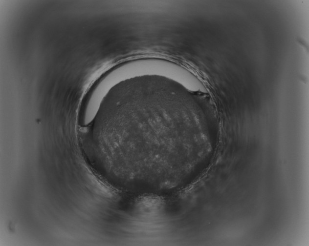 X0000091460248200709131739