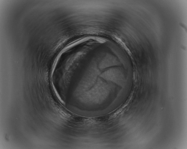 X0000091460249200709131739