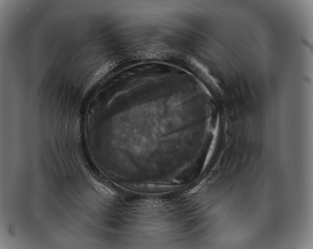 X0000091460250200709131739