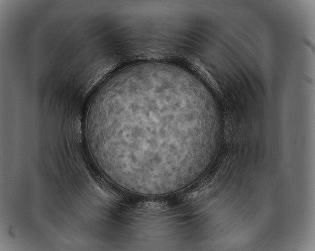 X0000091460251200709131739