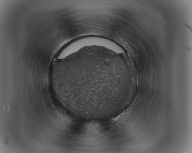X0000091460252200709131739