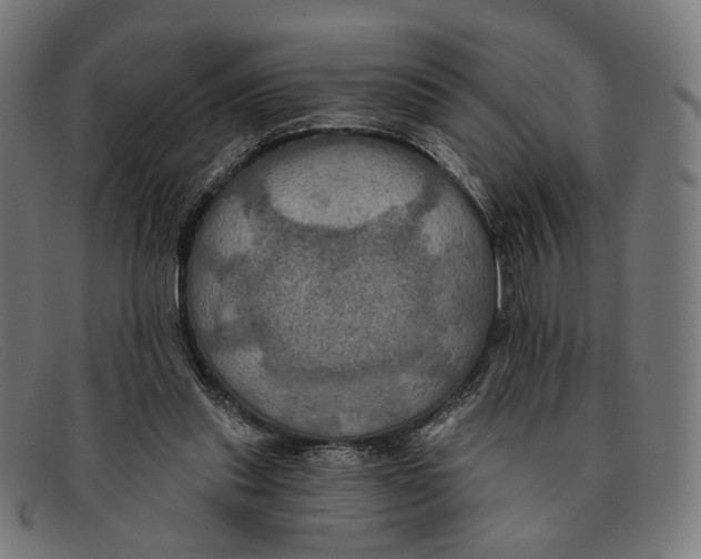 X0000091460253200709131739