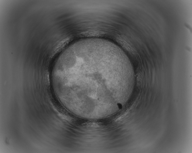 X0000091460254200709131739