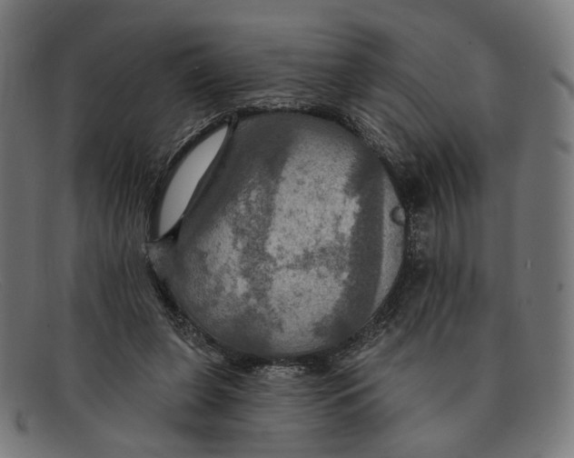 X0000091460255200709131739