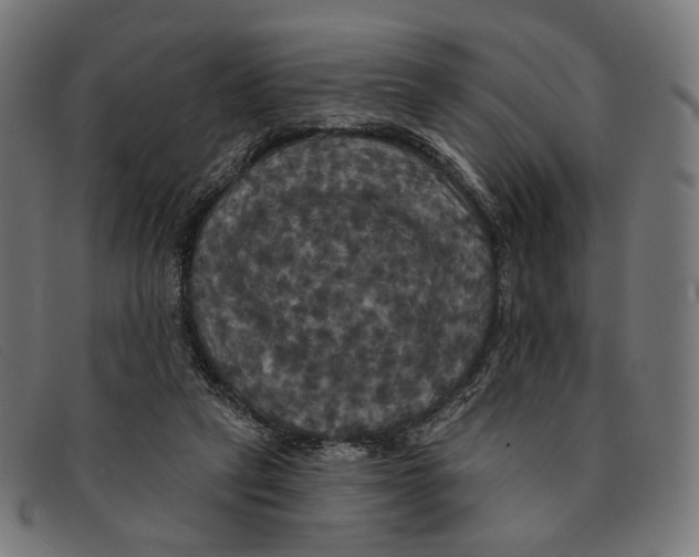 X0000091460257200709131739