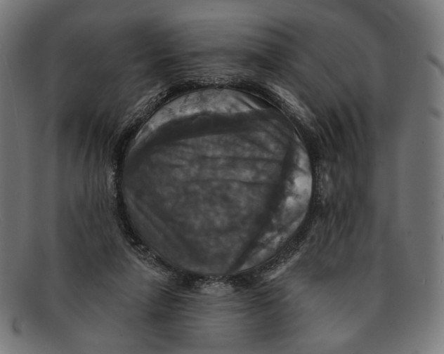 X0000091460258200709131739