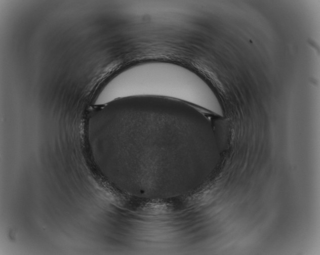 X0000091460260200709131739