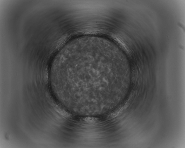 X0000091460261200709131739