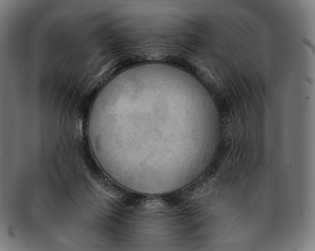 X0000091460262200709131739