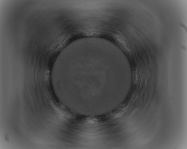 X0000091460263200709131739
