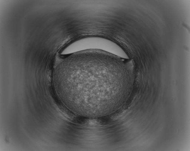 X0000091460264200709131739