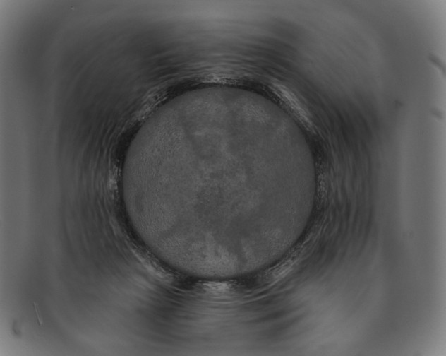 X0000091460265200709131739