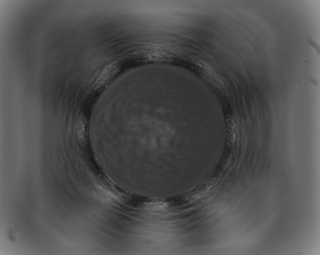 X0000091460266200709131739