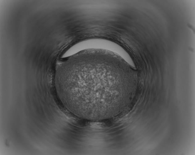X0000091460268200709131739