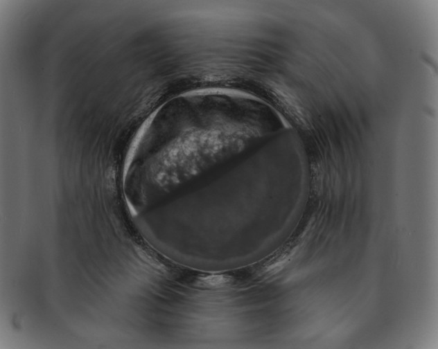 X0000091460269200709131739