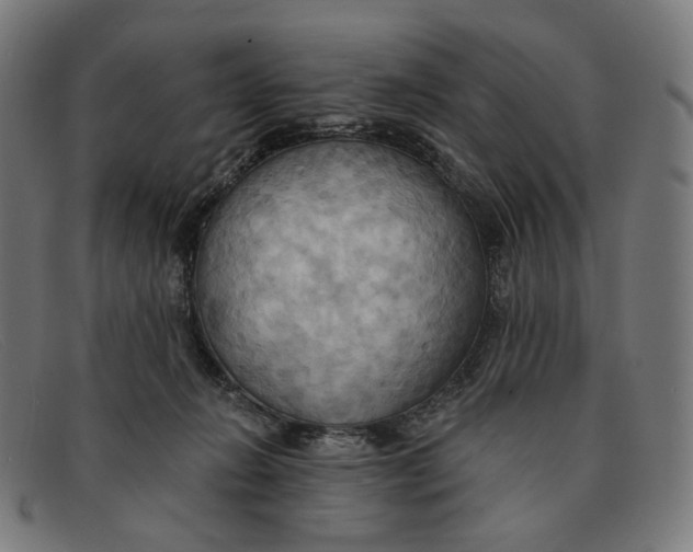 X0000091460270200709131739