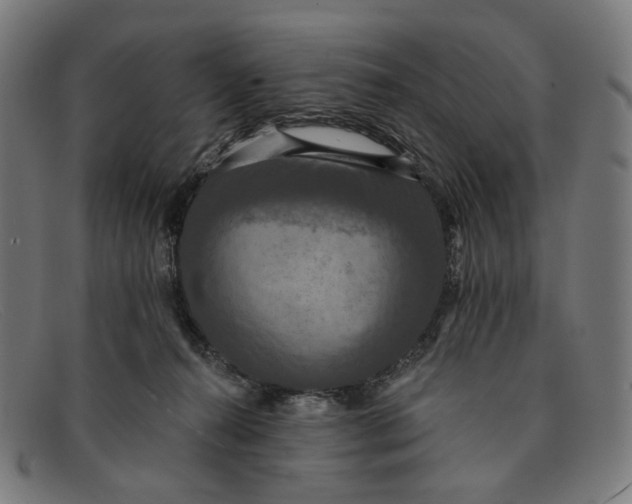 X0000091460272200709131739