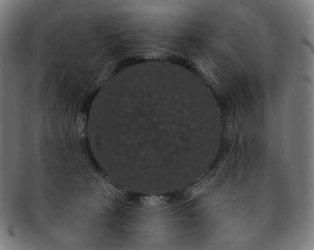 X0000091460273200709131739