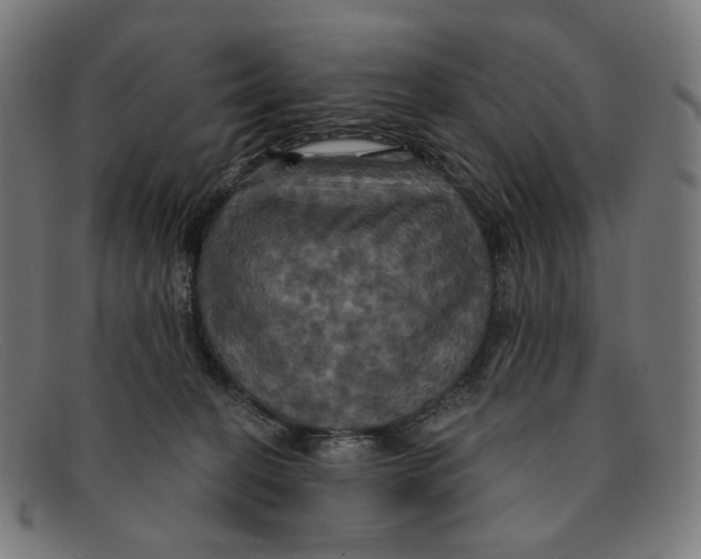 X0000091460274200709131739