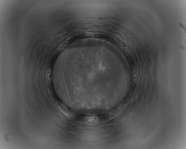 X0000091460275200709131739