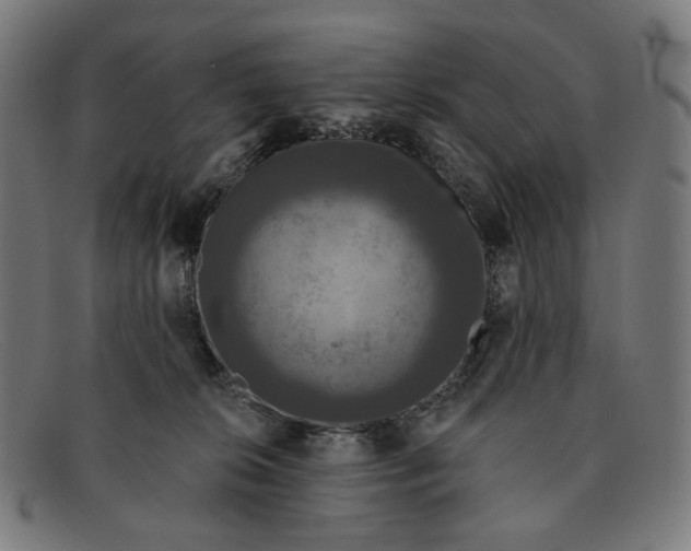 X0000091460276200709131739