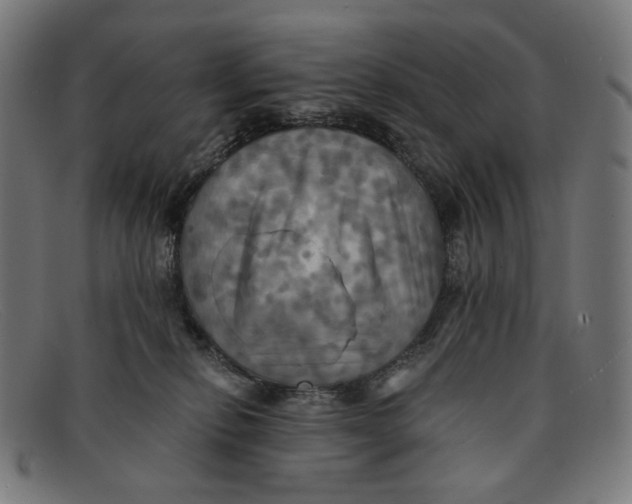 X0000091460278200709131739