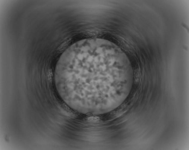 X0000091460279200709131739