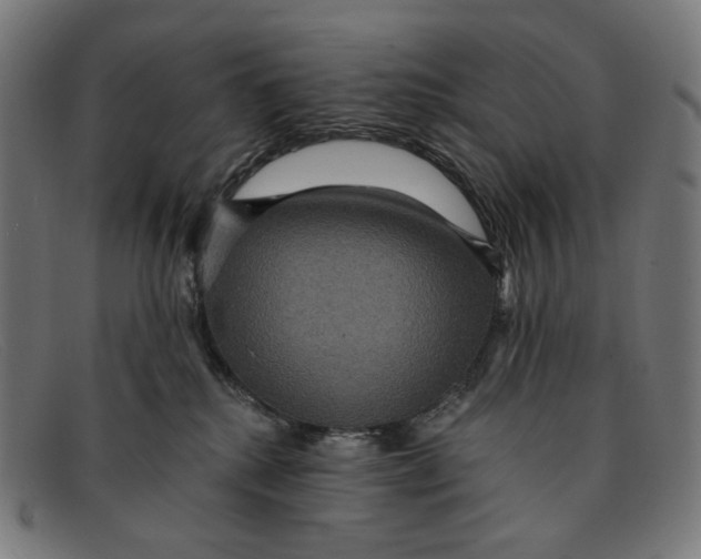 X0000091460280200709131739