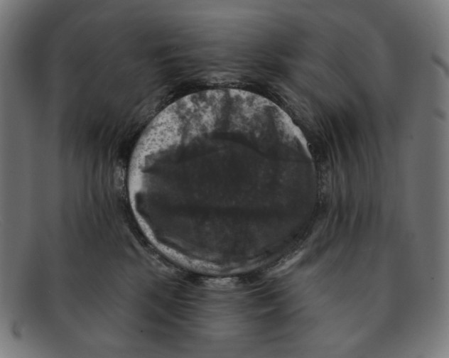 X0000091460281200709131739