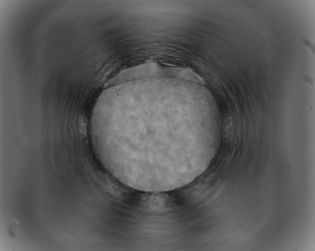 X0000091460282200709131739