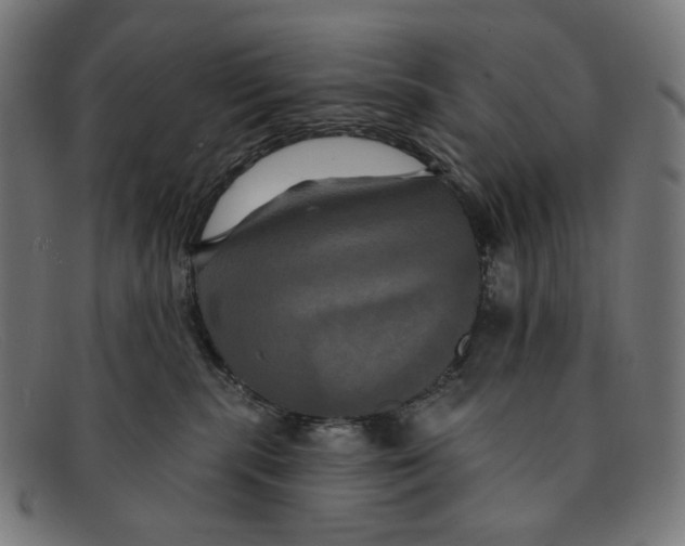 X0000091460283200709131739