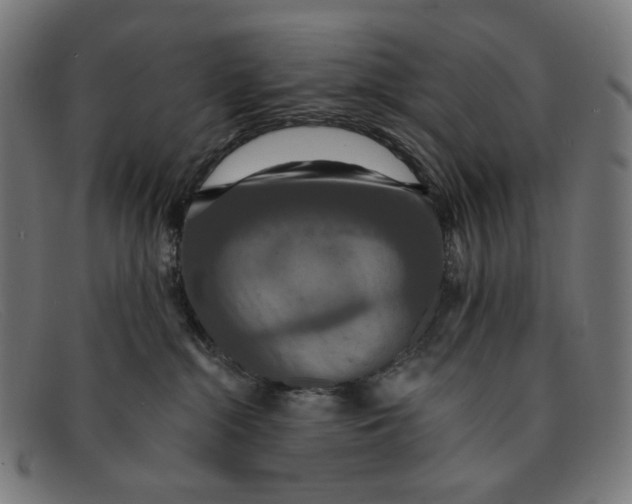 X0000091460284200709131739