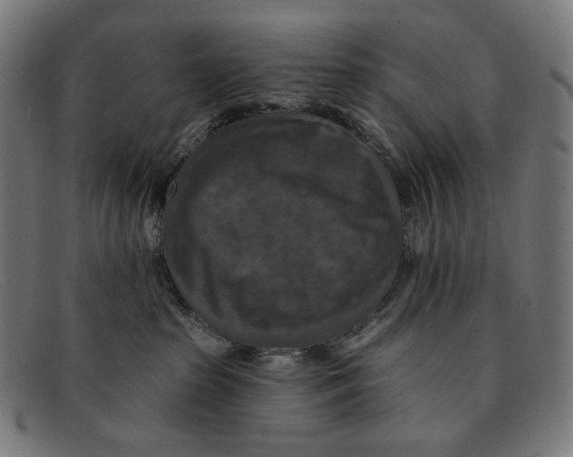 X0000091460285200709131739