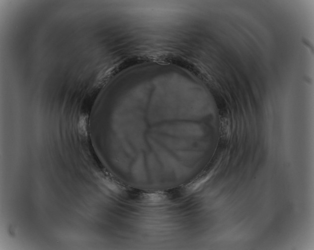X0000091460286200709131739