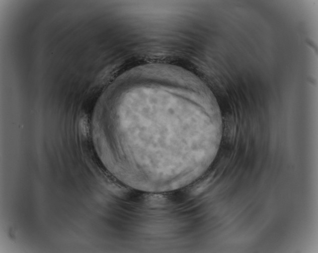 X0000091460287200709131739