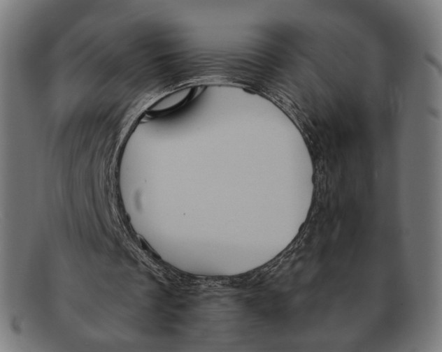 X0000091460289200709131739