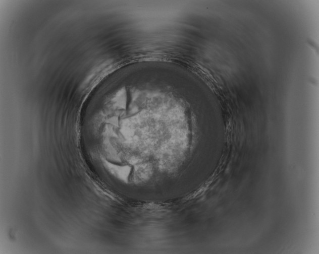 X0000091460290200709131739