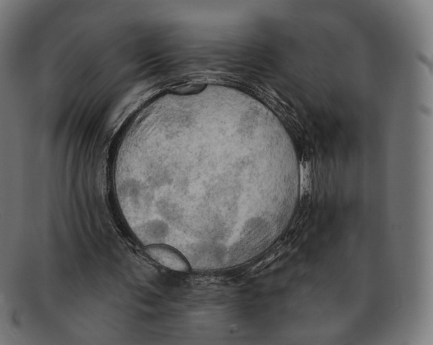 X0000091460291200709131739