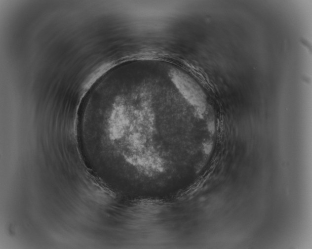 X0000091460292200709131739