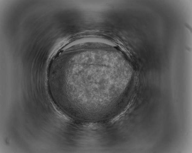 X0000091460293200709131739