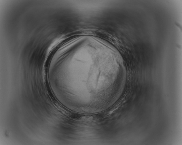 X0000091460294200709131739
