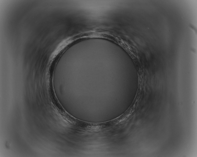 X0000091460295200709131739