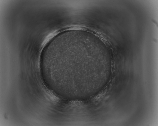 X0000091460296200709131739