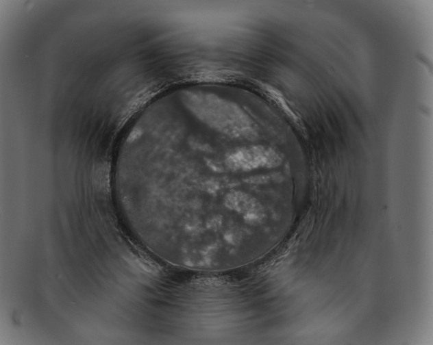 X0000091460299200709131739