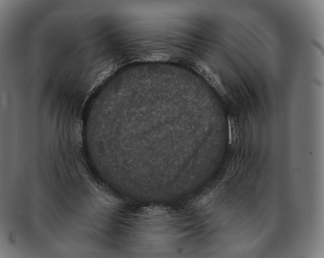 X0000091460300200709131739