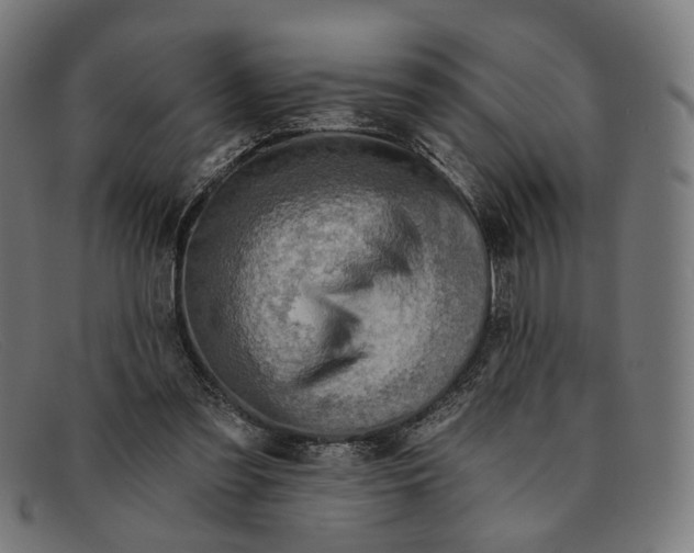 X0000091460301200709131739
