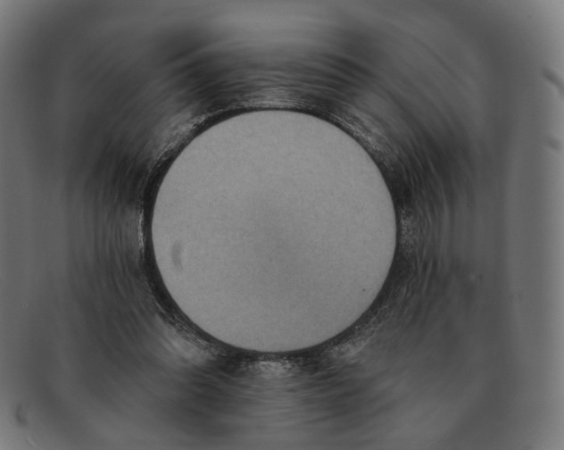 X0000091460302200709131739