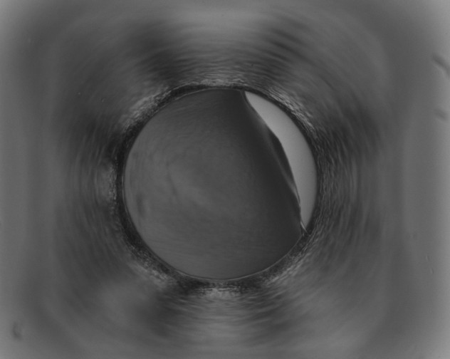 X0000091460303200709131739
